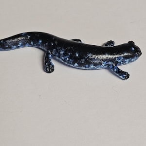 Salamander Magnet