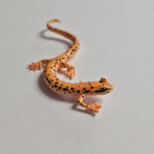 Resin Cave Salamander