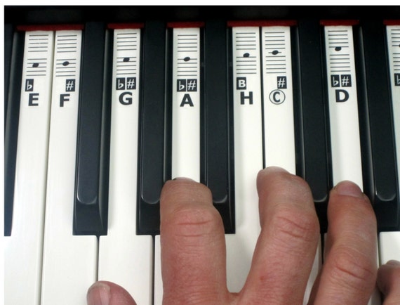 Klaviatur Aufkleber Noten : 54 61 88 Piano Sticker ...