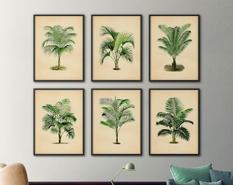 Palm Print Set, Palm Tree Print Set, Palm Tree Prints, Palm Leaf Print, Tropical Leaf Print, Palm Leaf Art, Botanical Illustrations