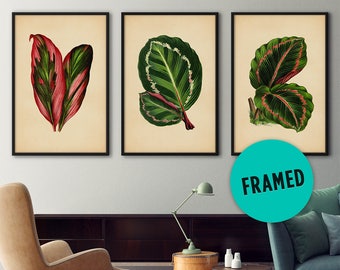 Botanical Print Set, Framed Print Set, Tropical Wall Art, Tropical Decor Print, Tropical Art Decor, Tropical Leaf Art, Tropical Artwork