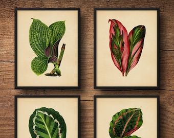 Botanisches Druckset, Tropische Blätter — Tropische Wandkunst, Tropisches Dekor, Tropisches Kunst dekor, Tropisches BlattKunst, Tropisches Kunstwerk