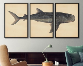 Shark Poster Set of 3, Shark Art Poster, Whale Shark Print, Shark Art, Shark Poster, Shark Print, Print Set, Nautical Decor, Coastal Decor