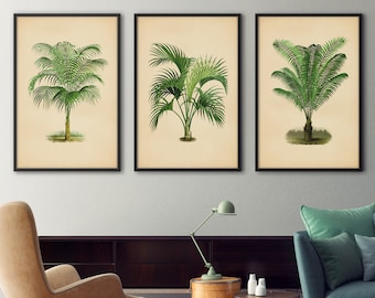 Botanical Print Set, Palm Tree Print Set, Palm Tree Prints, Palm Leaf Print, Tropical Leaf Print, Palm Leaf Art, Botanical Illustrations