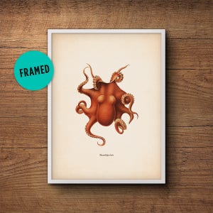 Octopus Print, Framed Art, Octopus Art, Octopus Wall Art, Octopus Poster, Octopus Decor, Bathroom Decor, Nautical Print, Wall Art