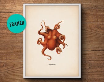 Octopus Print, Framed Art, Octopus Art, Octopus Wall Art, Octopus Poster, Octopus Decor, Bathroom Decor, Nautical Print, Wall Art