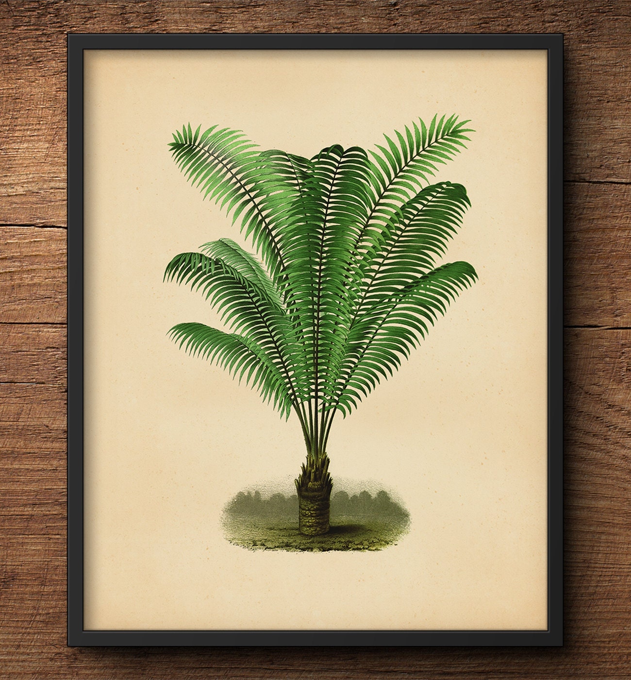 Botanical Print Set Palm Tree Print Set Palm Tree Prints Etsy
