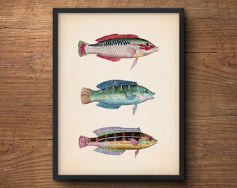 Fish Print, Tropical Fish Art, Coastal Art Poster, Nautical Prints, Beach Art, Vintage Art, Coastal Prints, Tropical Art