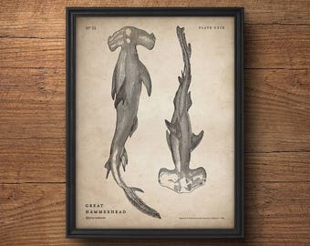 Shark Print, Hammerhead Shark Poster, Shark Wall Art, Vintage Shark Art, Large Poster, Scientific Illustration, Nautical Decor, Large Print