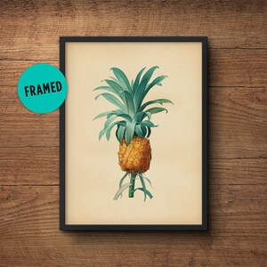 Ananas Print, Ingelijst, Botanische Print, Ingelijste Botanische Kunst, Tropische Fruit Print, Ingelijste Kunst aan de Muur, Grote Kunst aan de Muur, Keuken Decor
