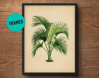 Palm Leaf Print, Framed, Tropical leaf Print, Palm Leaf Art, Tropical Leaf Print, Framed Botanical Print, Tropical Print, Large Wall Art