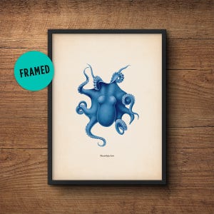 Blue Octopus Print, Framed Art, Octopus Art, Octopus Wall Art, Octopus Poster, Octopus Decor, Nautical Print, Wall Art, Bathroom Art
