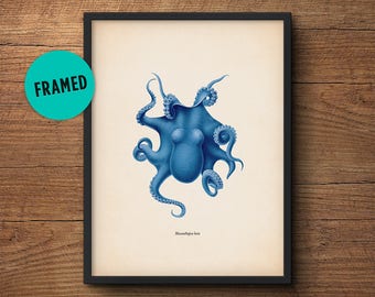 Blue Octopus Print, Framed Art, Octopus Art, Octopus Wall Art, Octopus Poster, Octopus Decor, Nautical Print, Wall Art, Bathroom Art