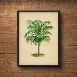 Palmen Wanddekoration, Palmblatt Wanddekoration, Palmblatt Wandkunst, Palmen Wandkunst, Palmen Druck, Tropische Pflanze, Große Botanische Kunst