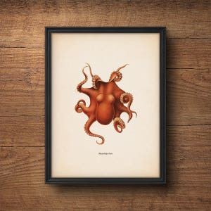 Octopus Print, Octopus Poster, Octopus Art, Octopus Wall Art, Large Wall Art, Octopus Decor, Bathroom Decor, Nautical Print, Wall Art