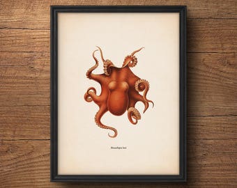 Octopus Print, Octopus Poster, Octopus Art, Octopus Wall Art, Large Wall Art, Octopus Decor, Bathroom Decor, Nautical Print, Wall Art