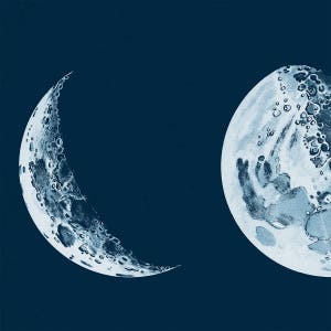 May include: A close-up of two crescent moons against a dark blue background. The moons are white and have a textured surface. The moon on the left is a thin crescent, while the moon on the right is a thicker crescent.