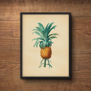 Pineapple Wall Art, Pineapple Print Art, Botanical Wall Art, Pineapple Print, Large Wall Art, Wall Print Pineapple, Large Pineapple Print image 1