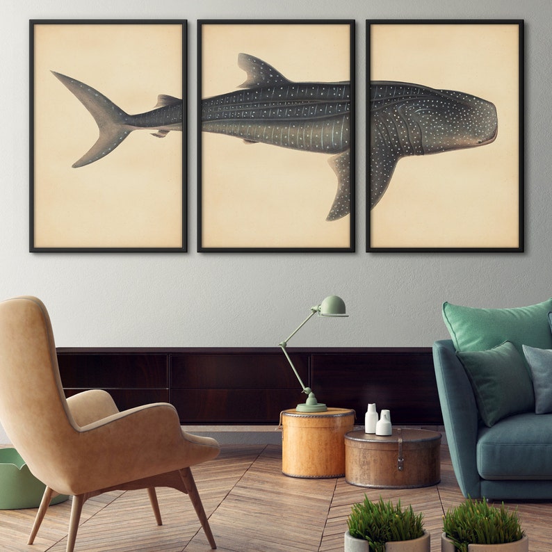 May include: A set of three framed prints featuring a detailed illustration of a whale shark. The prints are in black frames and have a cream background.