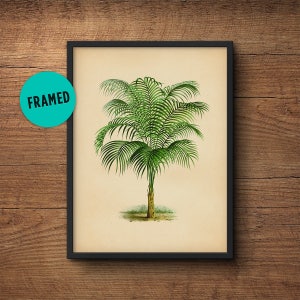 Palm Leaf Print, Framed, Tropical leaf Print, Palm Leaf Art, Tropical Leaf Print, Framed Botanical Print, Tropical Print, Large Wall Art