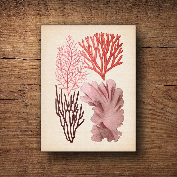 Download Arte de la pared costera Free HD