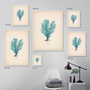 May include: A set of 10 framed prints featuring a vintage illustration of a blue coral branch. The prints are available in various sizes, including 8x10 inches, 12x16 inches, 16x20 inches, 18x24 inches, 24x36 inches, and 30x40 inches.
