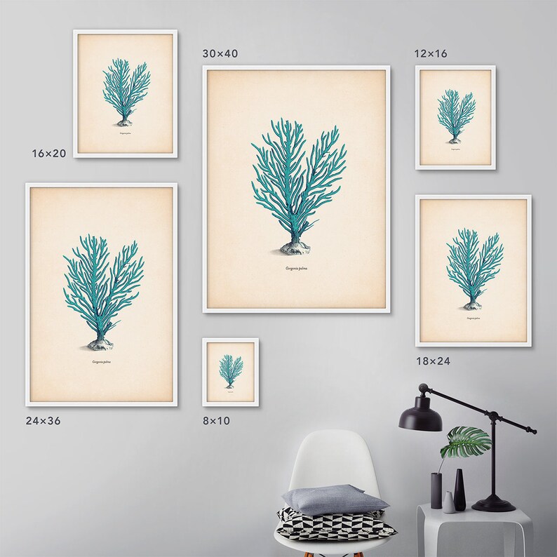 May include: A set of 10 framed prints featuring a vintage illustration of a blue coral branch. The prints are available in various sizes, including 8x10 inches, 12x16 inches, 16x20 inches, 18x24 inches, 24x36 inches, and 30x40 inches.