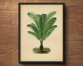 Palm Tree Print, Palm Leaf Wall Art, Tropical Palm Print, Palm Leaf Art Print, Tropical Leaf Print, Botanical Art Print