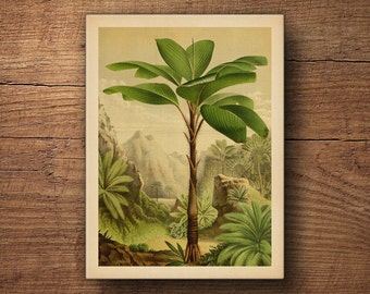 Banana Leaf Art on Canvas, Palm Tree Print, Palm Leaf Print, Banana Leaf Wall Art, Tropical Leaf Print, Botanical Art Print, Canvas Print