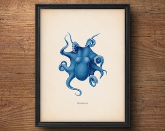 Blue Octopus Print, Octopus Poster, Octopus Art, Octopus Wall Art, Nautical Decor, Octopus Decor, Bathroom Decor, Nautical Print, Wall Art