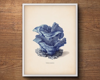 Blauwe Koraal Print, Nautische Decor Kust Strand Print, Zee Koraal Prints, Kust Decor Print, Koraal Prints, Kust Kunst, Kust Decor