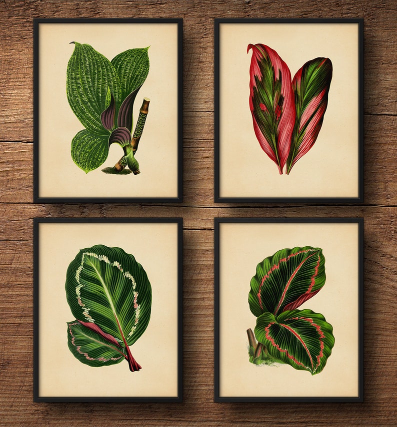 Botanical Print Set, Tropical Leaves Tropical Wall Art, Tropical Decor Print, Tropical Art Decor, Tropical Leaf Art, Tropical Artwork image 1