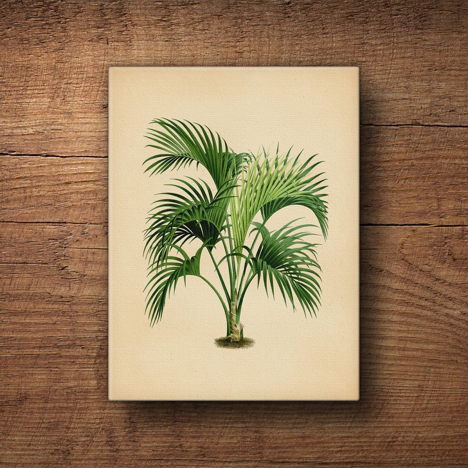 Palm tree canvas art palm leaf wall decor palm leaf prints palm leaf wall art palm trees print tropical plant botanical canvas art