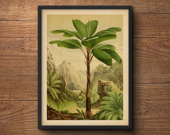 Palm Leaf Print, Palm Leaf Wall Art, Palm Leaf Art Print, Banana Leaf Wall Art, Tropical Leaf Print, Botanical Art Print, Large Art