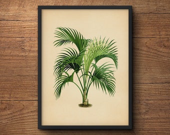 Palm Tree Art, Palm Leaf Wall Decor,  Palm Leaf Prints, Palm Leaf Wall Art, Palm Trees Print, Tropical Plant, Botanical Art, Large Wall Art