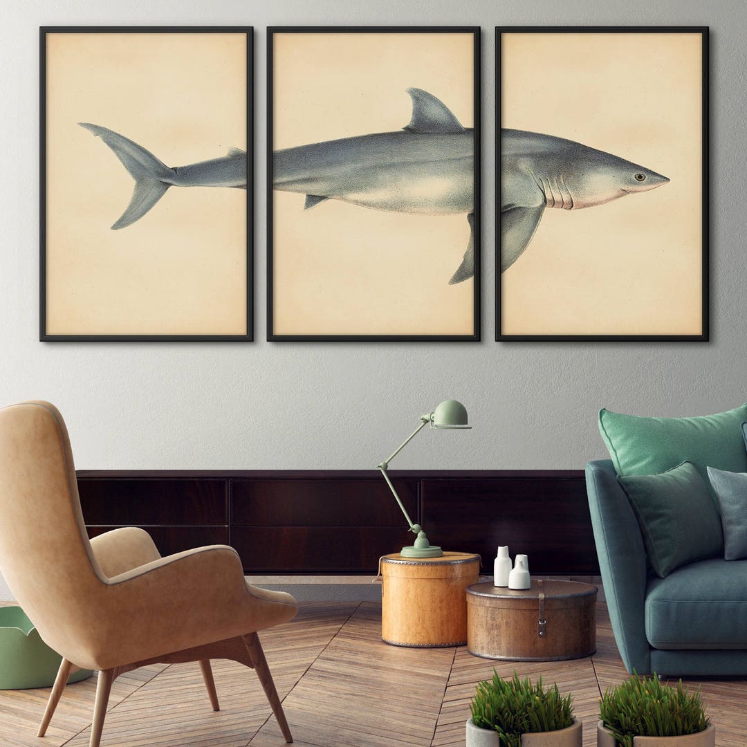 Shark Print Set of 3 Shark Art Great White Shark Print - Etsy
