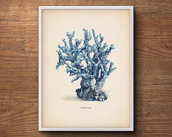 Blue Coral Print, Coastal Wall Print, Coastal Beach Print, Large Art Print, Coastal Decor Print, Coral Prints, Coastal Art, Coastal Decor