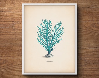 Blauwe Koraal Print, Kust Strand Print, Grote Kunst aan de Muur, Kust Muur Print, Zee Koraal Prints, Kust Decor Print, Koraal Prints, Coastal Art