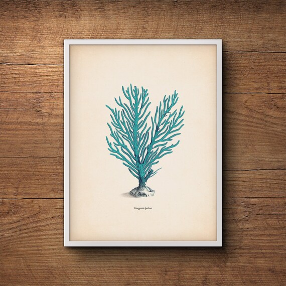 Blue Coral Print, Coastal Beach Print, Large Wall Art, Coastal Wall Print, Sea Coral Prints, Coastal Decor Print, Coral Prints, Coastal Art