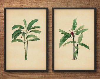 Banana Leaf Prints, Print Set of 2, Tropical Art, Tropical Decor, Palm Leaf Wall Art, Tropical Leaf Print, Banana Prints, Botanical Art
