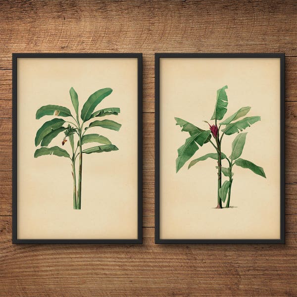 Banana Leaf Prints, Print Set of 2, Tropical Art, Tropical Decor, Palm Leaf Wall Art, Tropical Leaf Print, Banana Prints, Botanical Art