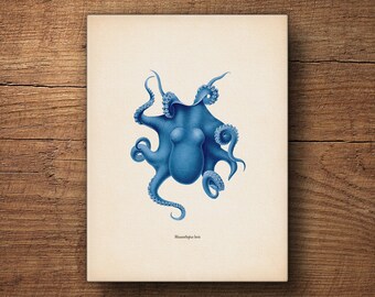Blue Octopus Print, Canvas, Octopus Tentacle Art, Octopus Wall Art, Nautical Decor, Wall Art, Bathroom Decor, Coastal Decor