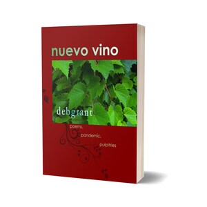 Nuevo Vino by debgrant; comes with personally designed card set w/envelopes