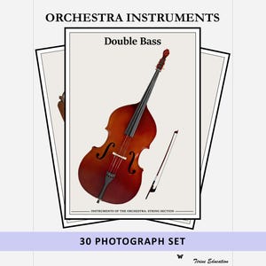 30 pósteres de instrumentos de orquesta, decoración para aulas de música, cuerda, madera, viento metal, percusión (descarga digital)
