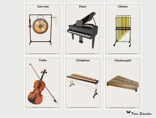 Poster Strumenti Musicali Dell'Orchestra – 40x60 Cm, Stampa Didattica Con Strumenti Classici
