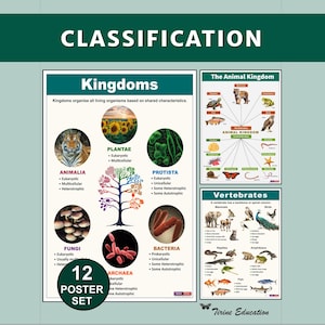 Biological Classification Posters:  12 Printable Science Prints for  Middle & High School STEM Classroom Decor