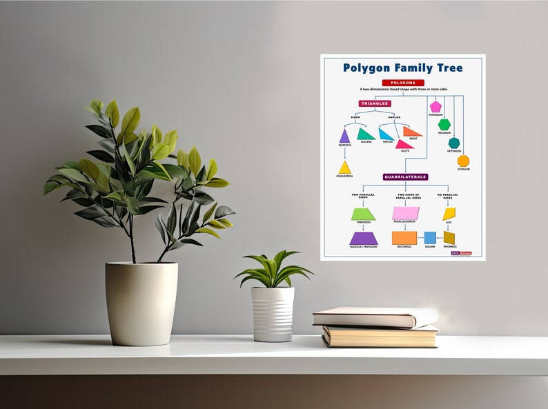 Polygon Family Tree Poster Maths Poster Elementary Primary Etsy
