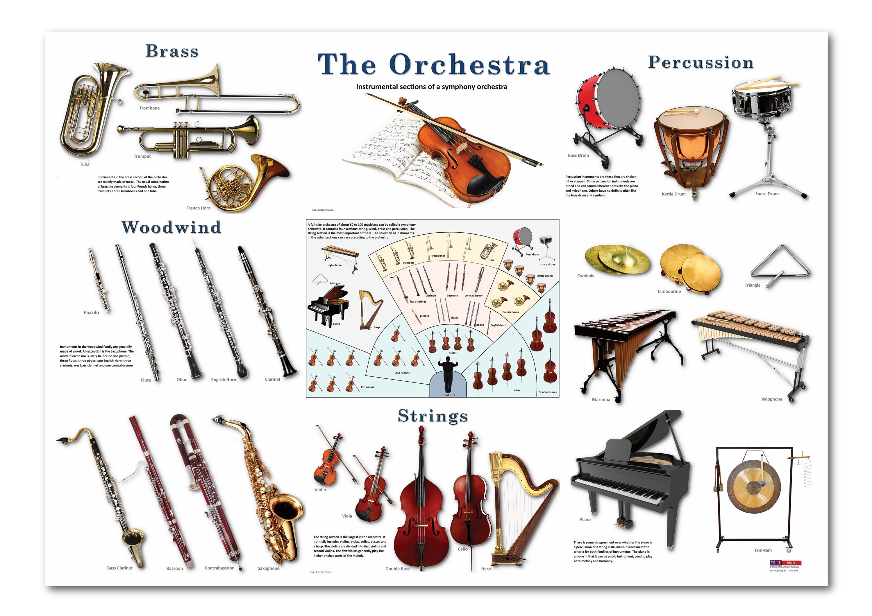 The Orchestra Music Classroom poster digital download Etsy