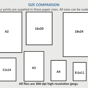 Puede incluir: Un gr&aacute;fico que compara diferentes tama&ntilde;os de papel para impresiones. Los tama&ntilde;os est&aacute;n etiquetados con sus dimensiones en pulgadas, como 16x20, 18x24 y 11x14. El gr&aacute;fico tambi&eacute;n incluye tama&ntilde;os de papel est&aacute;ndar como A2, A3 y A4.