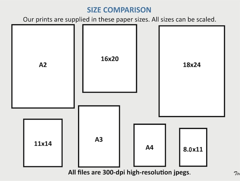 Puede incluir: Un gr&aacute;fico que compara diferentes tama&ntilde;os de papel para impresiones. Los tama&ntilde;os est&aacute;n etiquetados con sus dimensiones en pulgadas, como 16x20, 18x24 y 11x14. El gr&aacute;fico tambi&eacute;n incluye tama&ntilde;os de papel est&aacute;ndar como A2, A3 y A4.